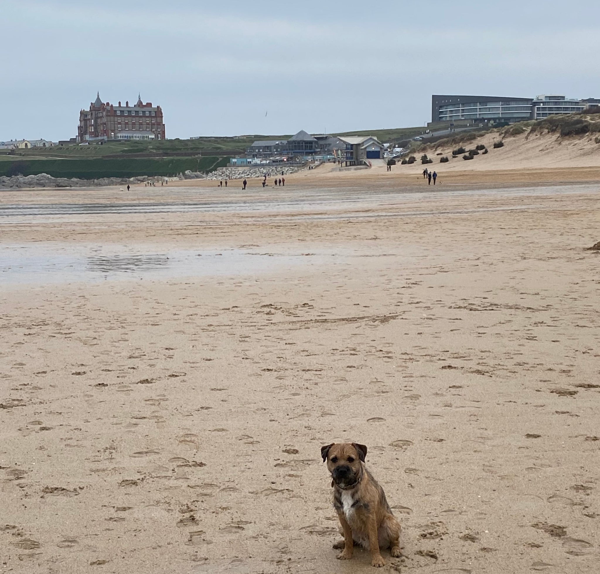 Down Memory Lane - Cornwall, Jan 2022