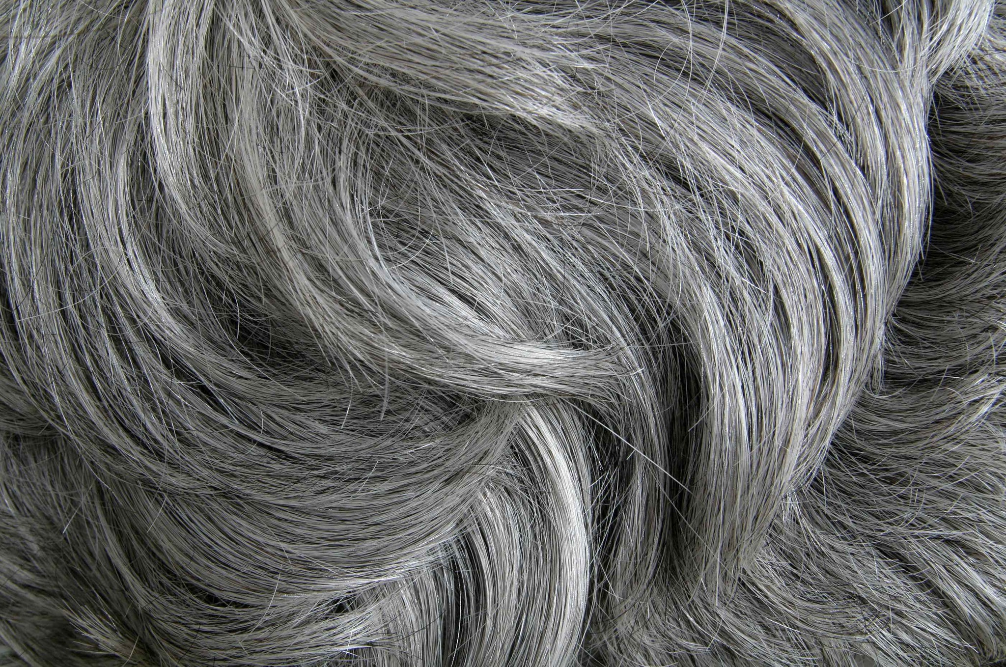 The Old Grey Matter - Time Of Your Life