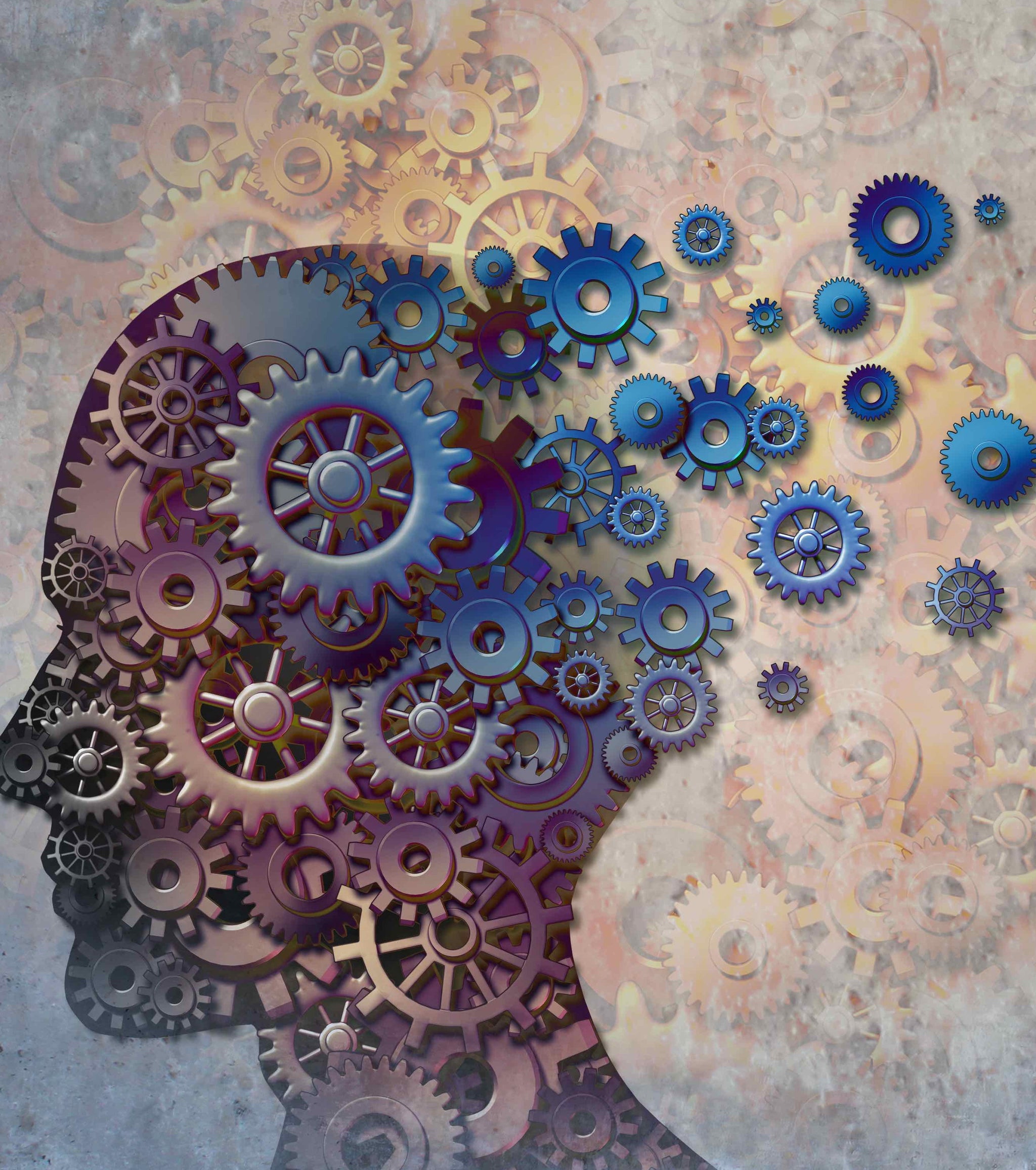 Midlife Memory Loss and How Not To Look an Idiot Like Me